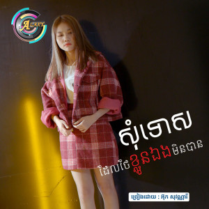 Listen to សុំទោសខ្លួនឯងដែលថែខ្លួនឯងមិនបាន song with lyrics from អ៊ុក សុវណ្ណារី