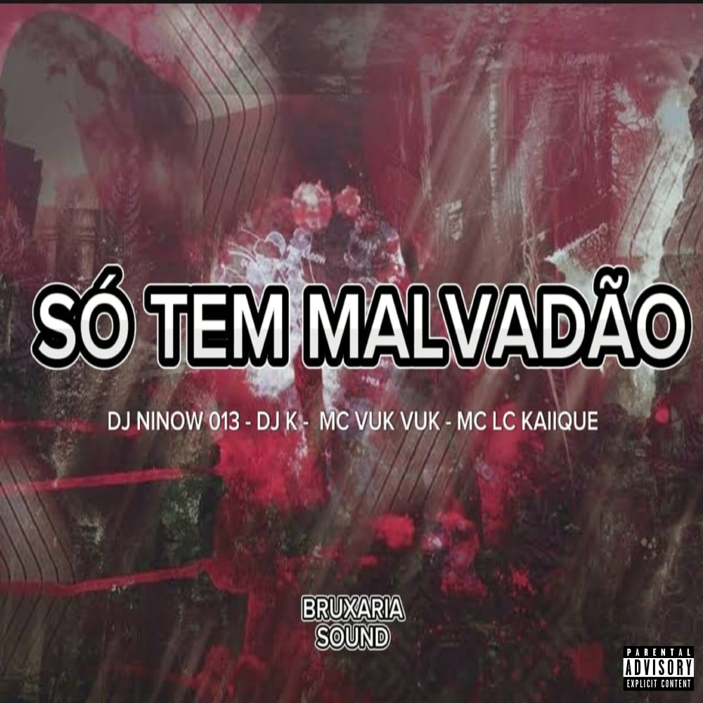 Só Tem Malvadão (feat. Mc Vuk Vuk) (Explicit)