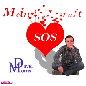 收听David Morris的Mein Herz ruft S. O. S.歌词歌曲