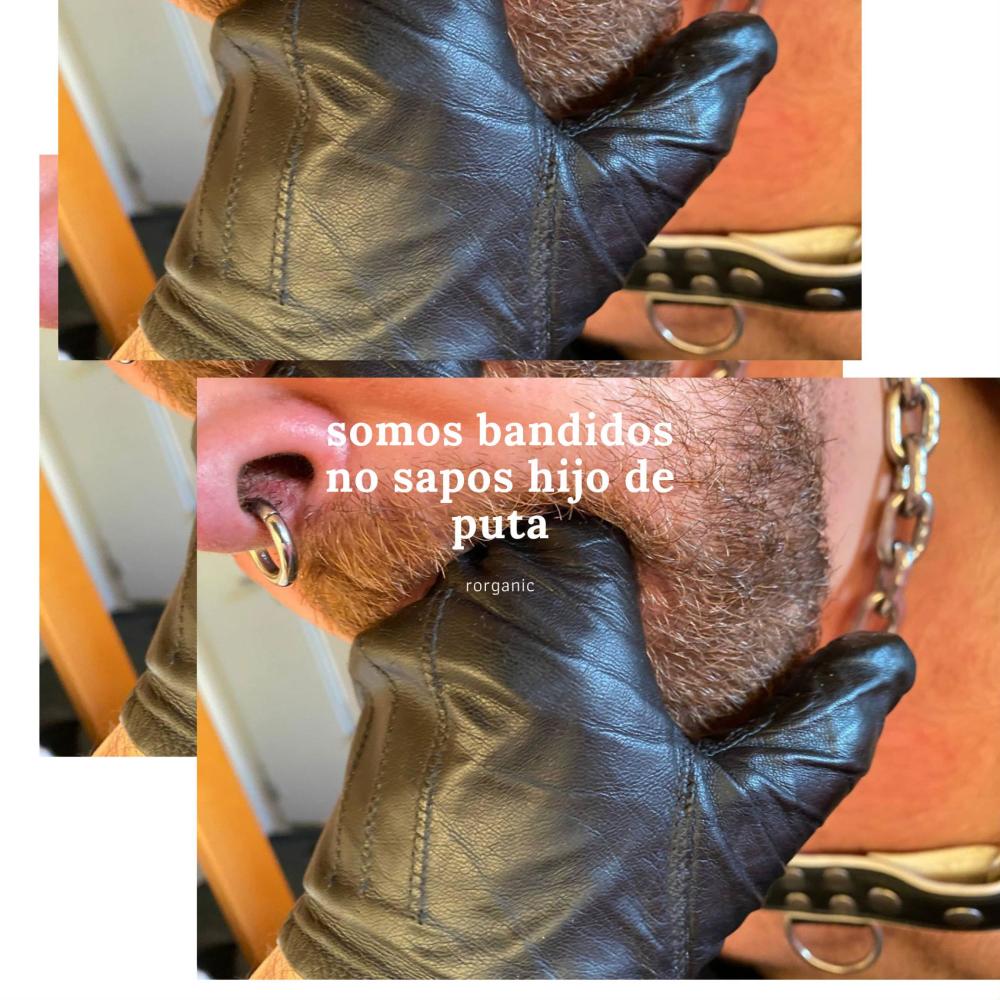 somos bandidos no sapos hijo de puta