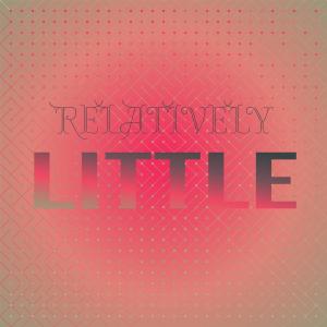 Various Artists的專輯Relatively Little