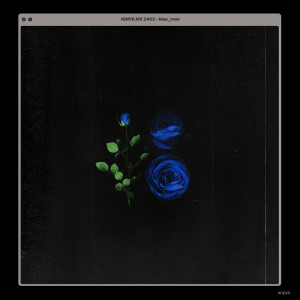 Listen to Blue Rose (Explicit) song with lyrics from ANPYO