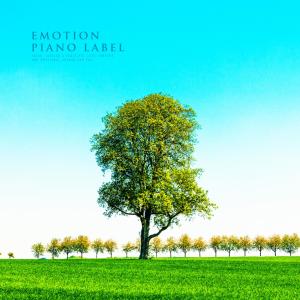 Album Delicate Emotional Piano For Meditation Time from Korea Various Artists