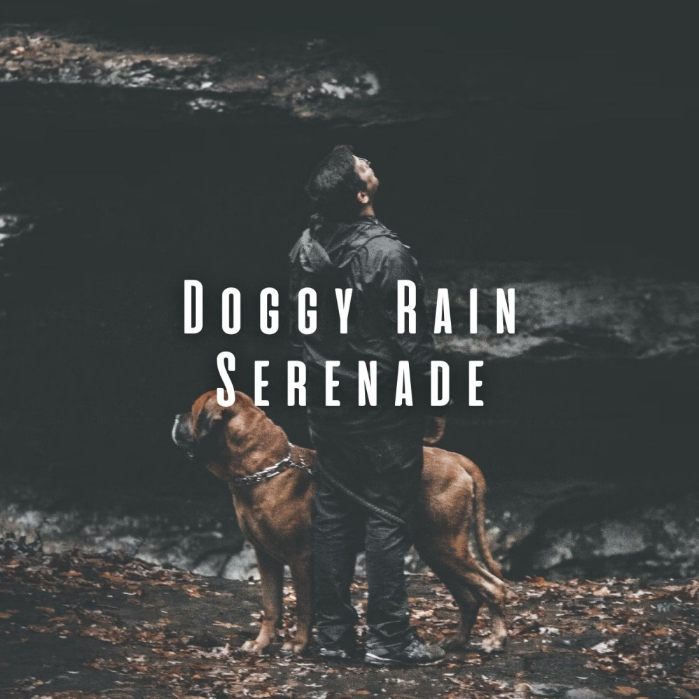 Doggy Dreamscape