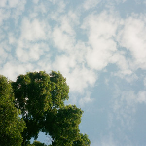 mp.oxford的專輯Dage I Sol