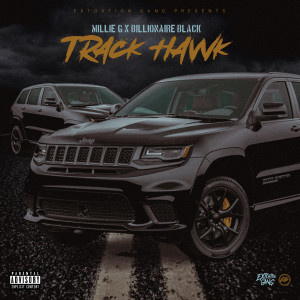 Listen to Track Hawk (Explicit) song with lyrics from Millie G