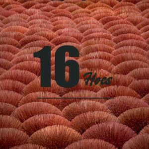 Album 16Hoes (feat. Brown & Creed Bellemie) (Explicit) from Légendary Crack