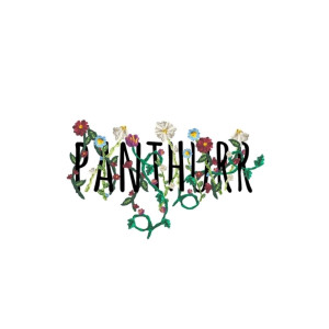 收聽Panthurr的A Story of Adventure歌詞歌曲