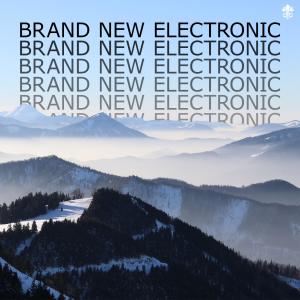 Album Brand New Electronic from Various