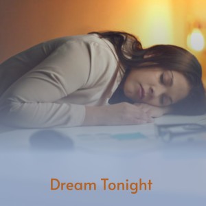 Album Dream Tonight from Various
