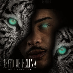 ดาวน์โหลดและฟังเพลง Jeito de Felina (Explicit) พร้อมเนื้อเพลงจาก Mc Sidinho Sp