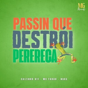 Album PASSIN QUE DESTRÓI PERERECA (Explicit) from 