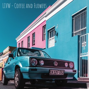 Listen to Cat Driver song with lyrics from LIVW