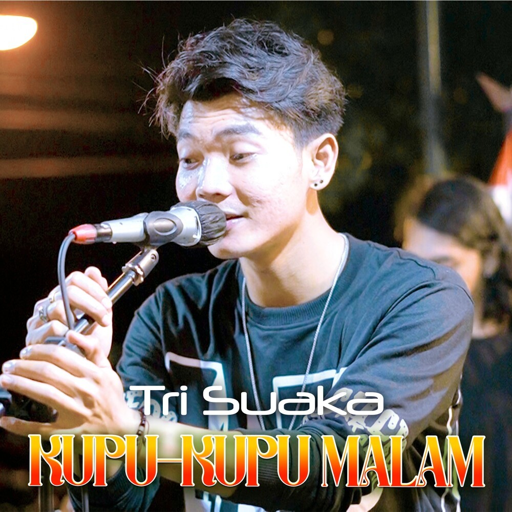 Kupu-Kupu Malam