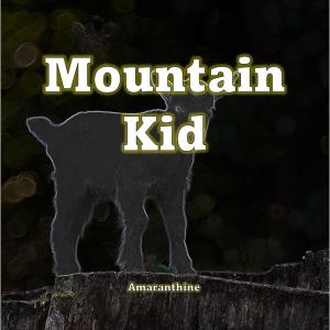 Amaranthine的專輯Mountain Kid