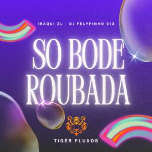 DJ FELYPINHO 013的專輯SO BODE ROUBADO