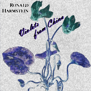 ดาวน์โหลดและฟังเพลง Hookah In A Coffeeshop พร้อมเนื้อเพลงจาก Ronald Harmstein