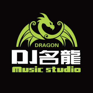 Album 你怎么说(抖音完整版) from DJ名龙