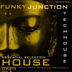 Various Artists的專輯Funky Junction Essential Tech House Compilation