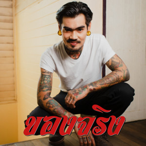 ดาวน์โหลดและฟังเพลง ของจริง พร้อมเนื้อเพลงจาก เล็ก พงษธร