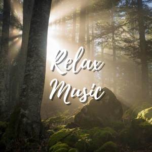Peaceful Relaxation的專輯Relaxing Jazz Instrumental Music for Studying,Working