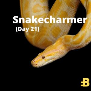 Album Snakecharmer (Day 23) from Bufri