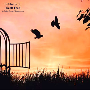 Bobby Scott的专辑Scott Free (Analog Source Remaster 2022)