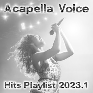 Album Acapella Voice Hits 2023.1 from Various Artists