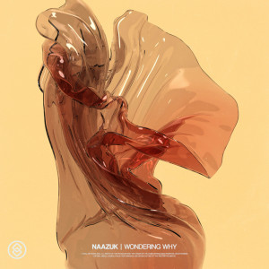 Album Wondering Why oleh NAAZUK