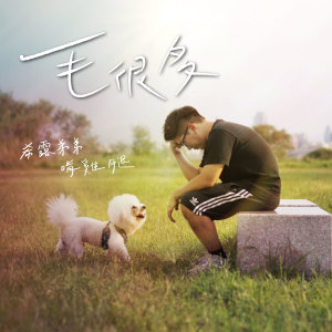 Listen to 毛很多 song with lyrics from 希露弟弟啃鸡腿