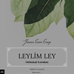 收聽Yunus Emre Ersoy的Leylim Ley (Oriental Version)歌詞歌曲