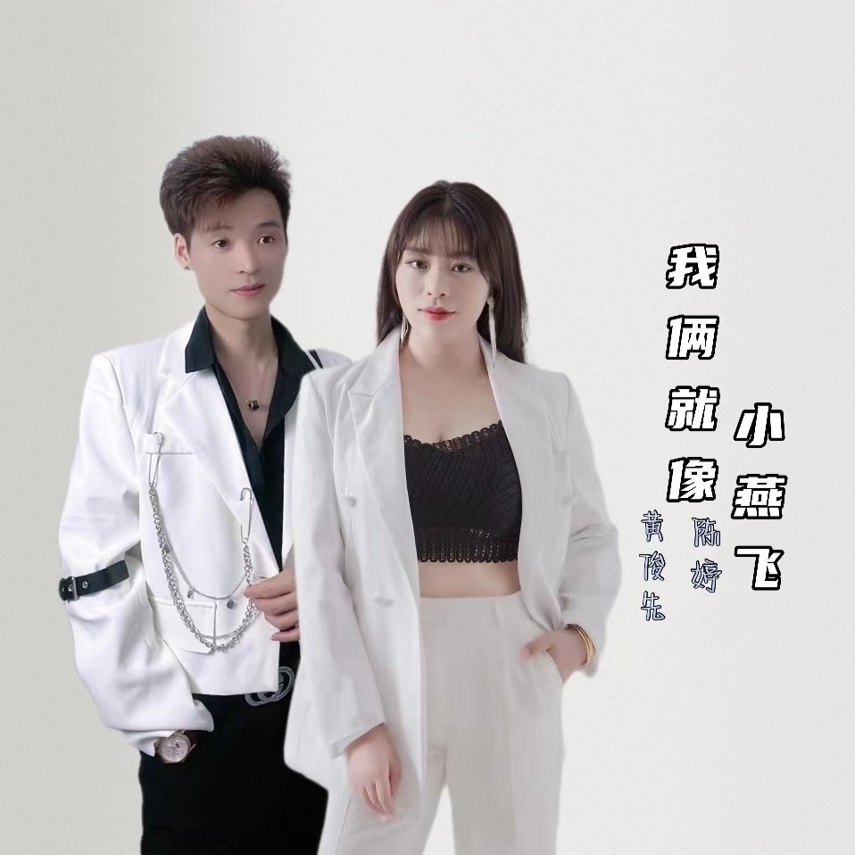 我俩就像小燕飞（dj何友版） (完整版)