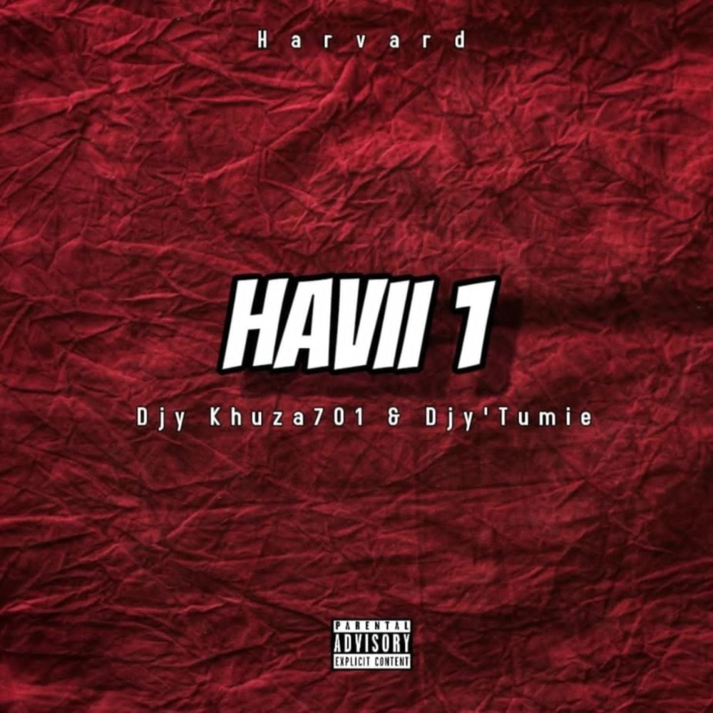 Haviii 1