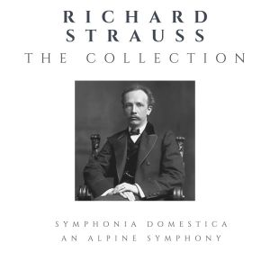 Listen to Eine Alpensinfonie, Op. 64: VI. Gefahrvolle Augenblicke - Auf dem Gipfle - Vision song with lyrics from Orchestra dell'Opera di Stato Bavarese