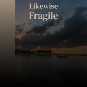 Dengarkan lagu Most Afternoon nyanyian Awel Brane dengan lirik