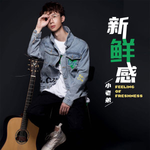 Listen to 新鲜感 (伴奏) song with lyrics from 小老弟