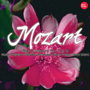 收聽Herman Kienzl的Violin Concerto No. 5 in A major, K. 219: II. Adagio歌詞歌曲
