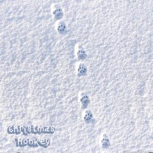 Listen to Christmas Monkey (feat. Millbridge Jack) song with lyrics from The Domino D.R.