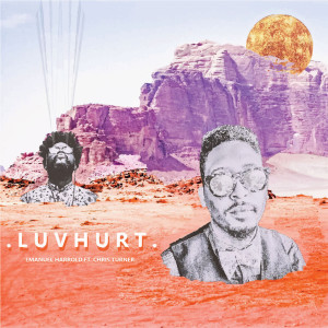 Album Luv Hurt (feat. Chris Turner) from Chris Turner