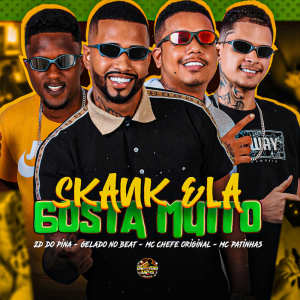 Listen to Skank Ela gosta muito (Explicit) song with lyrics from Gelado No Beat