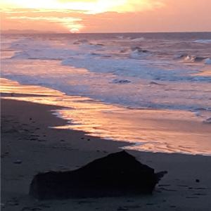 ดาวน์โหลดและฟังเพลง Free to Love พร้อมเนื้อเพลงจาก Ritchie Petersen