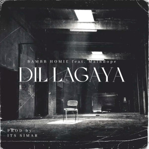 Listen to Dil Lagaya song with lyrics from Bambb Homie