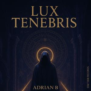 收聽Adrian B的Veni Vidi Vixi歌詞歌曲