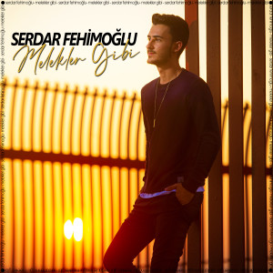 Album Melekler Gibi from Serdar Fehimoğlu