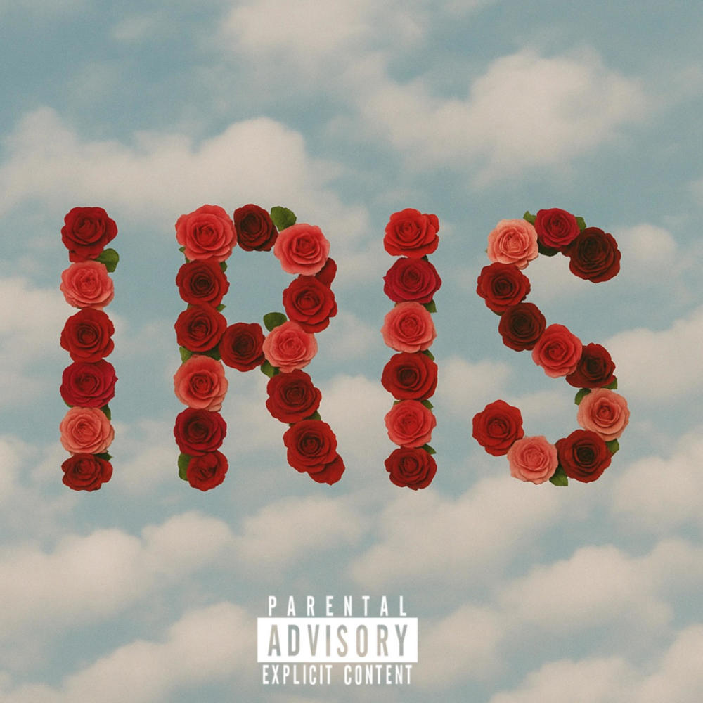 Days on Earth Till Iris (feat. Qil & ZebStar) (Explicit)