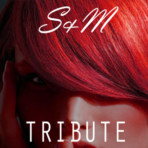 收聽Top 40 Hits的S&M (Rihanna Tribute)歌詞歌曲