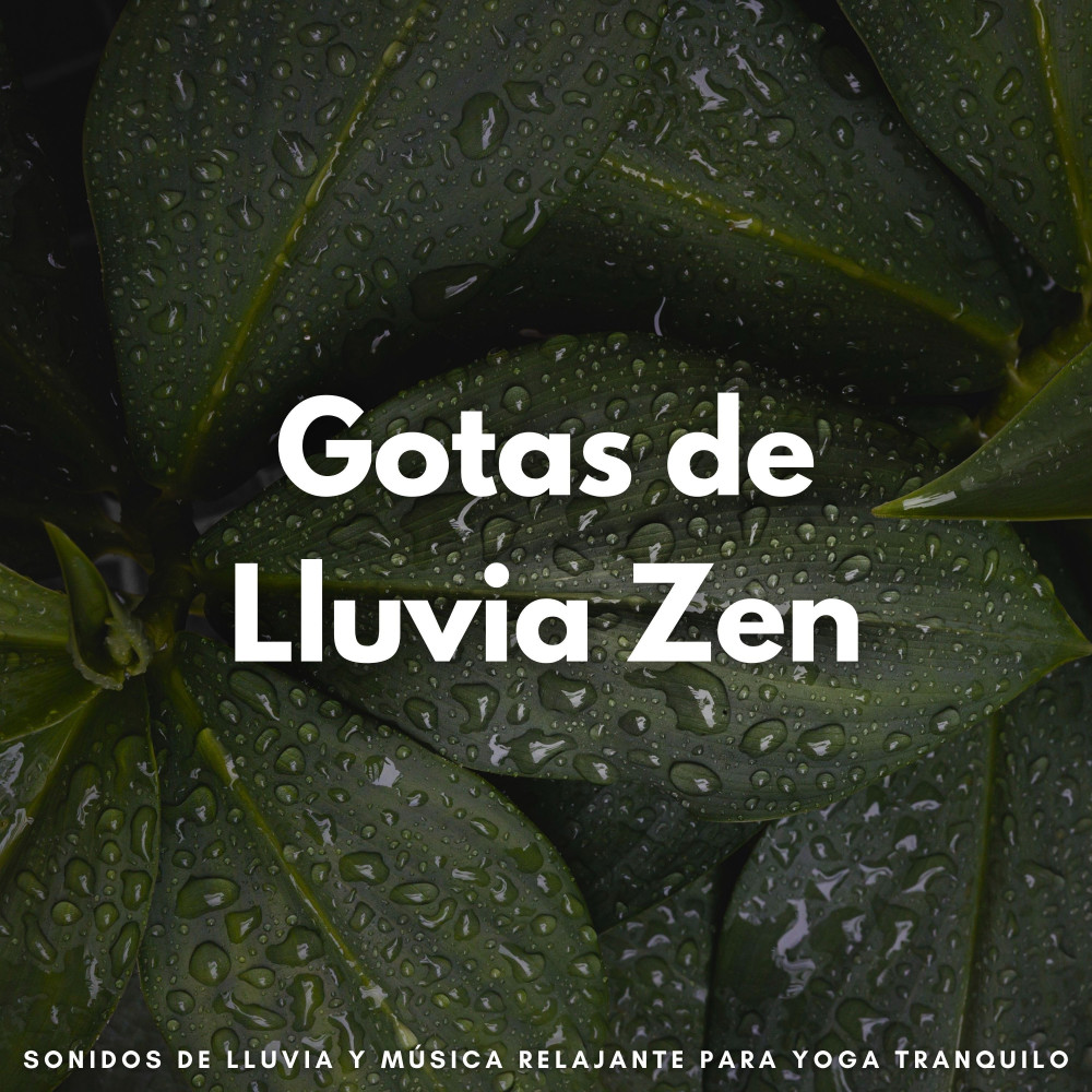 Flujo De Yoga Lluvioso