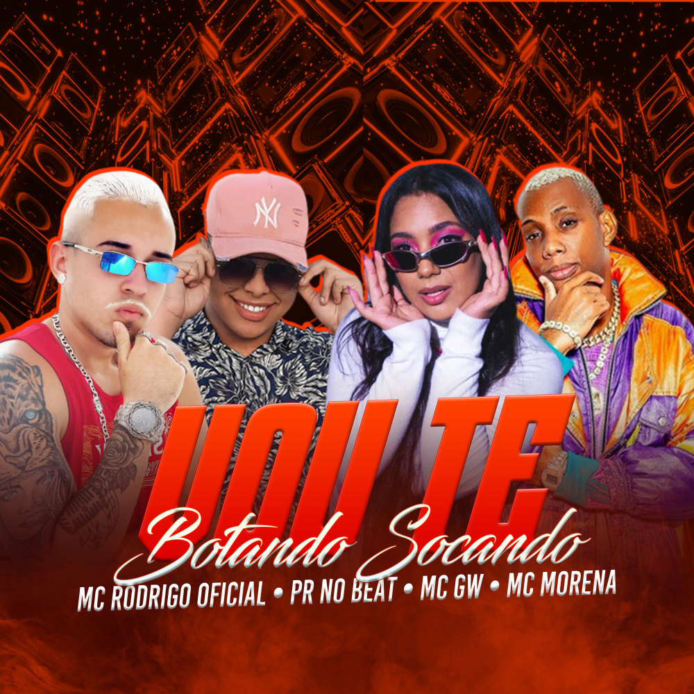 Vou Te Botando Socando (Explicit)
