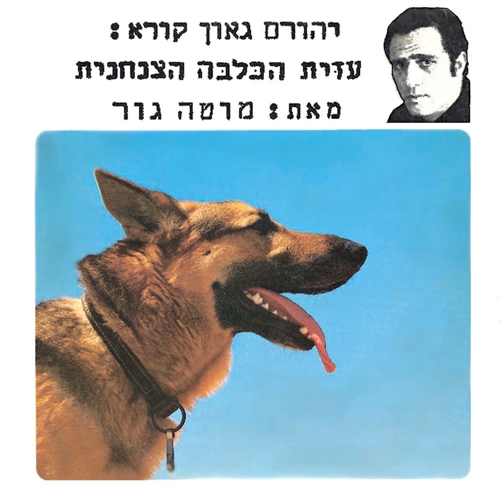 עזית בהרי מואב (חלק ב׳)