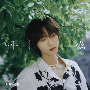 Listen to 呼吸 song with lyrics from 赵磊